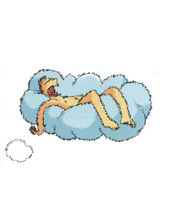 SCM Bellecour : systeme de traitement de la douleur