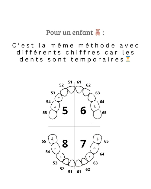 SCM Bellecour - votre dentiste vous parle en chiffres ? SCM Bellecour - votre dentiste vous parle en chiffres ?