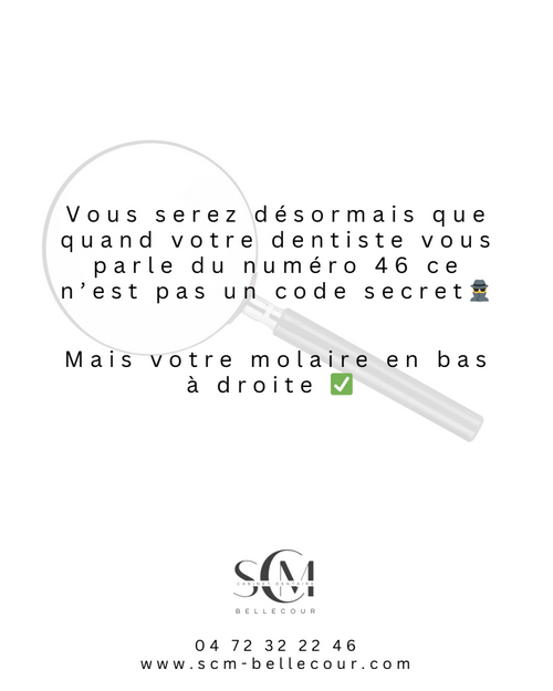 SCM Bellecour : votre dentiste vous parle en chiffre ? SCM Bellecour - votre dentiste vous parle en chiffres ?