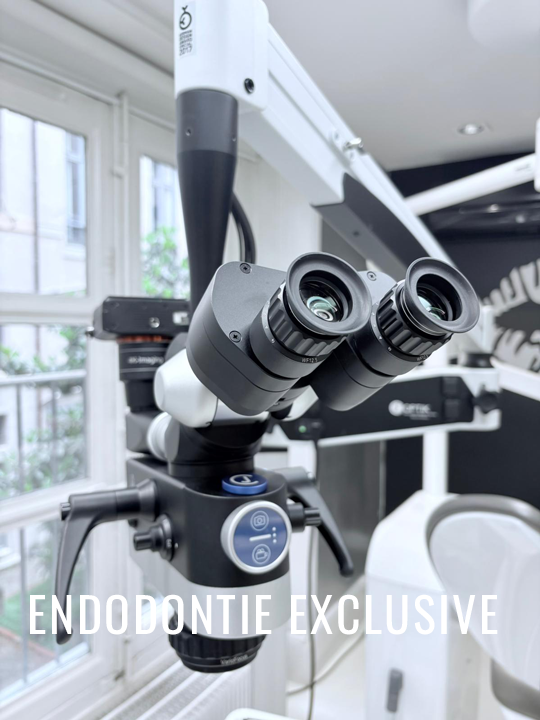SCM Bellecour Endodontie Exclusive - Lyon Bellecour
